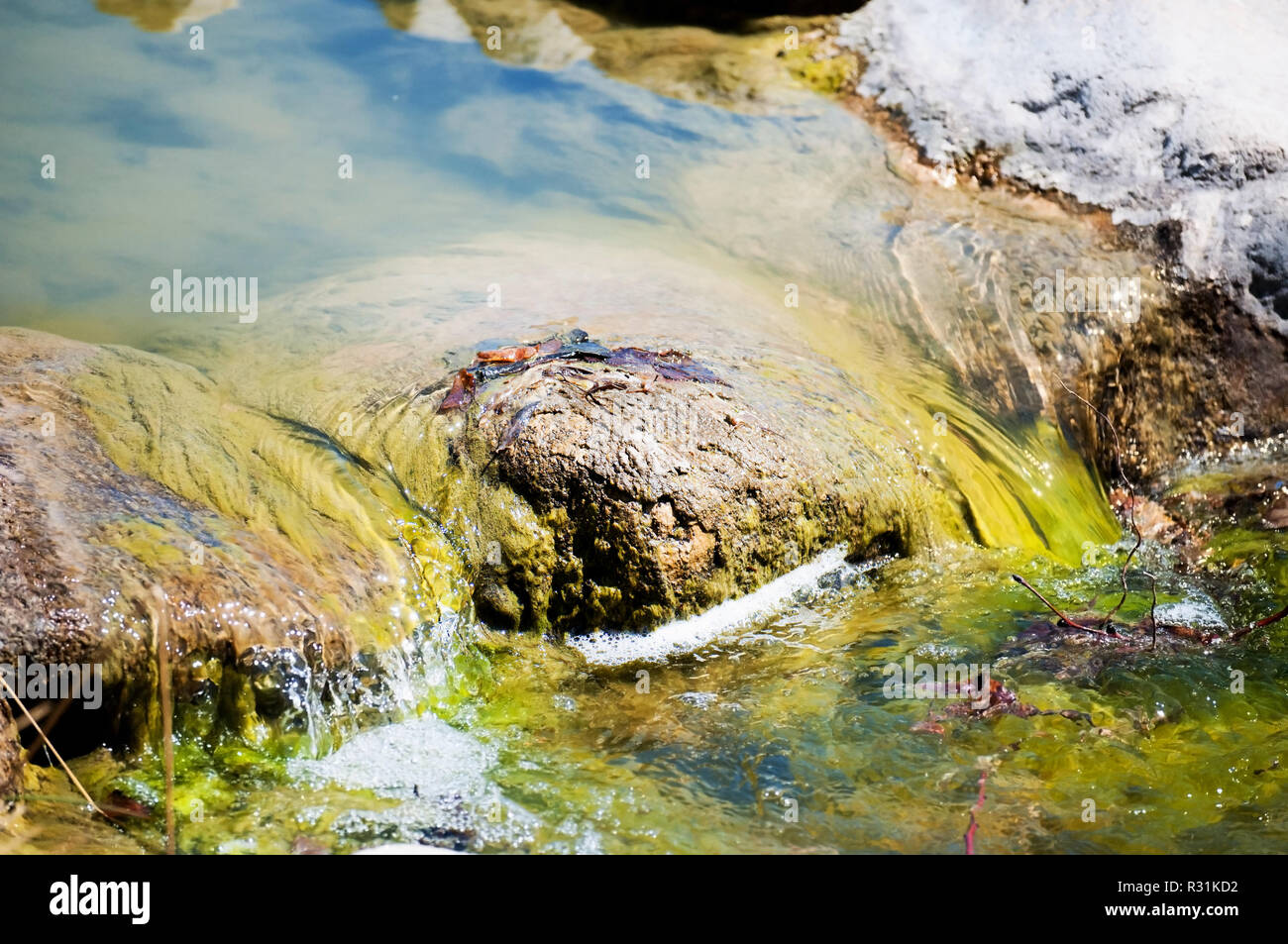 Stagnierende, marmoriert Wasser in einem schönen Bach. Stockfoto