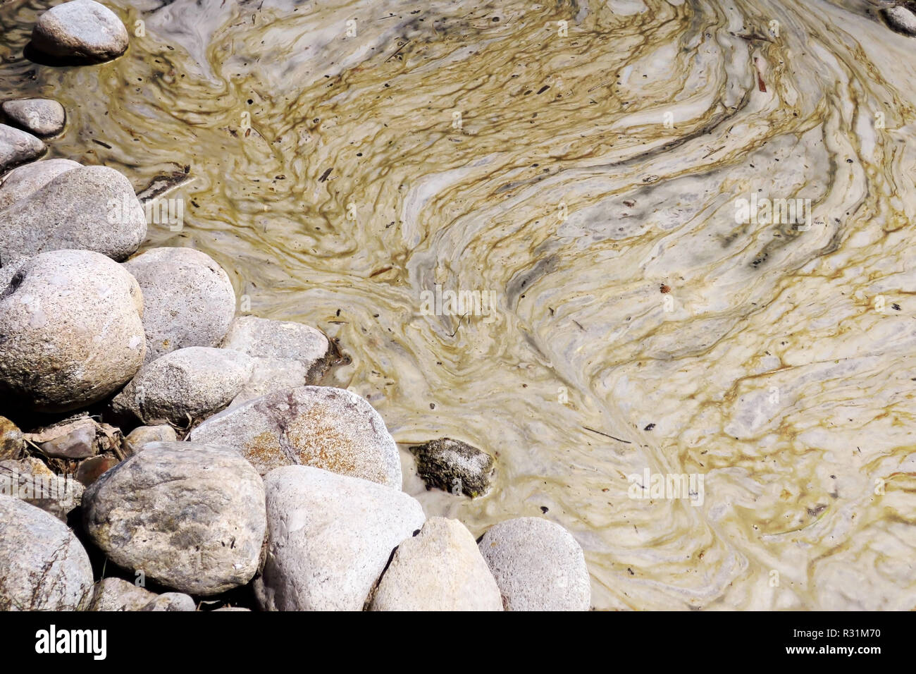 Stagnierende, marmoriert Wasser in einem schönen Bach. Stockfoto