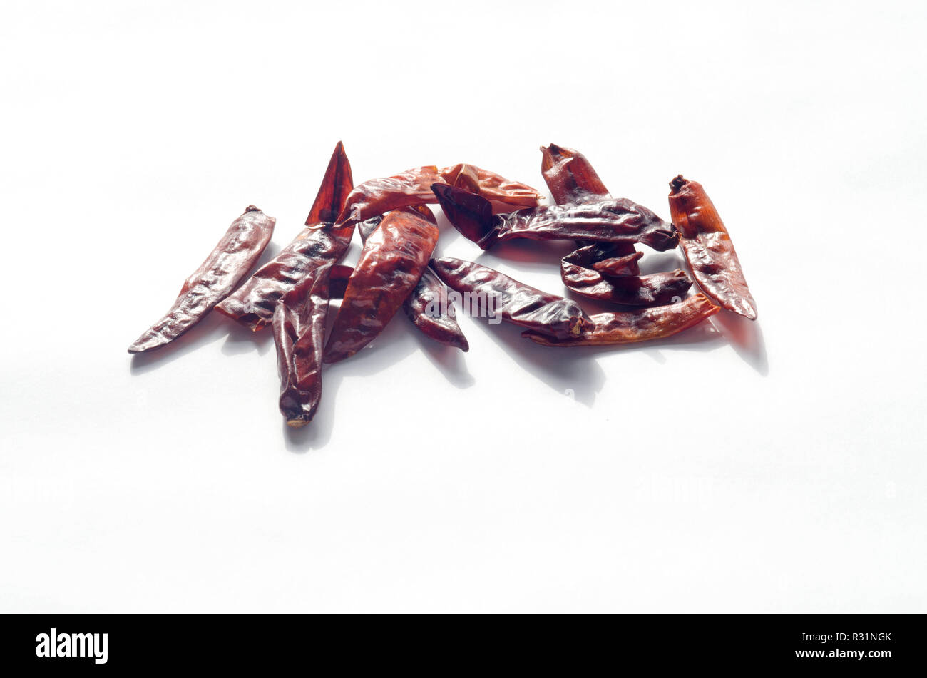 Indische getrocknete rote Chili Schoten auf Weiß Stockfoto