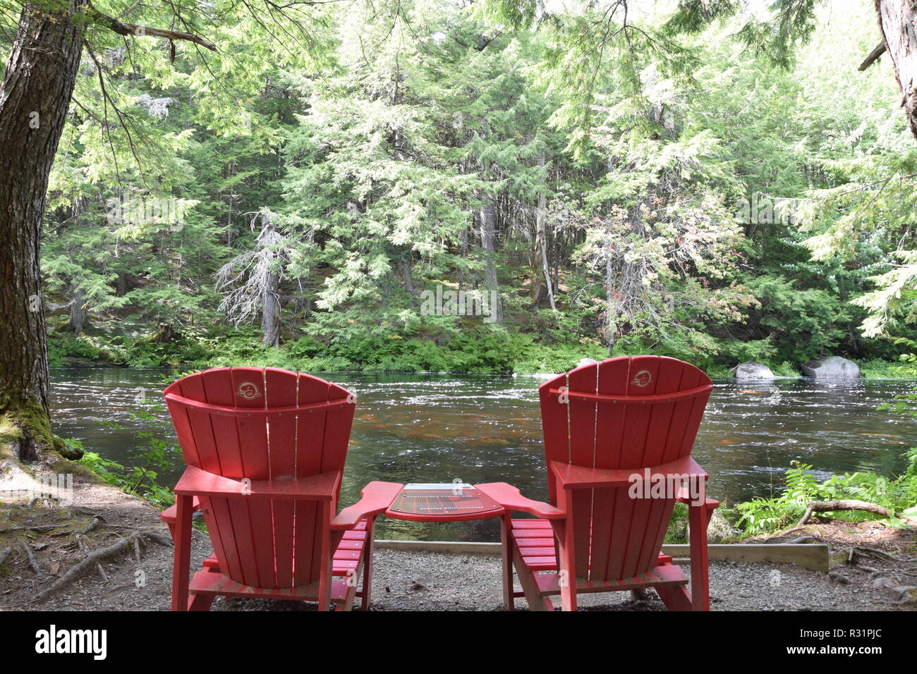 Zwei rote Adirondack Stühle durch den Fluss im Wald Stockfoto