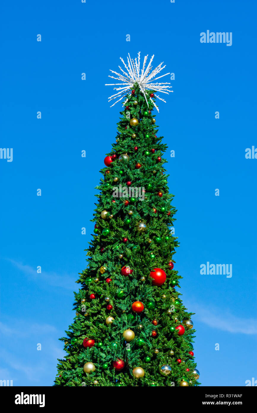 Groer groer Outdoor Weihnachtsbaum im Festival Park, Castle Rock Colorado  USA. Foto im November gebracht Stockfotografie - Alamy