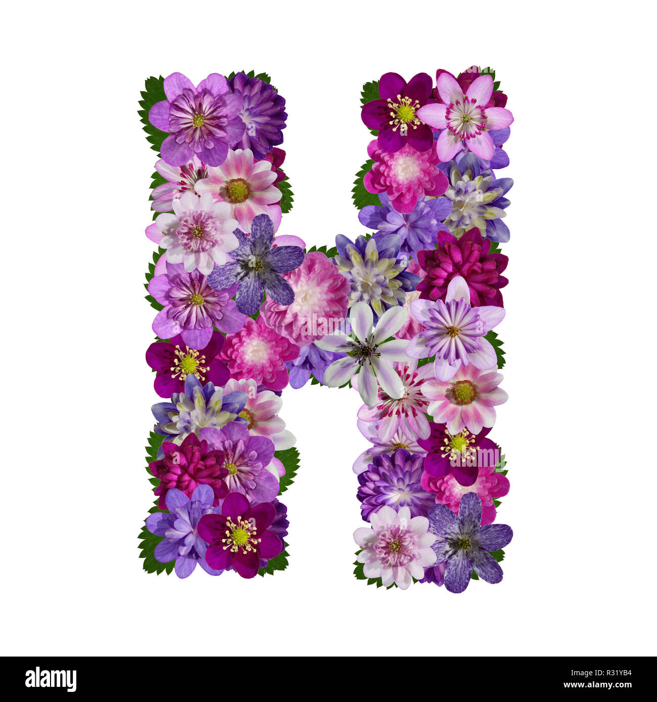 Blumen Alphabet Buchstaben H Stockfotografie Alamy