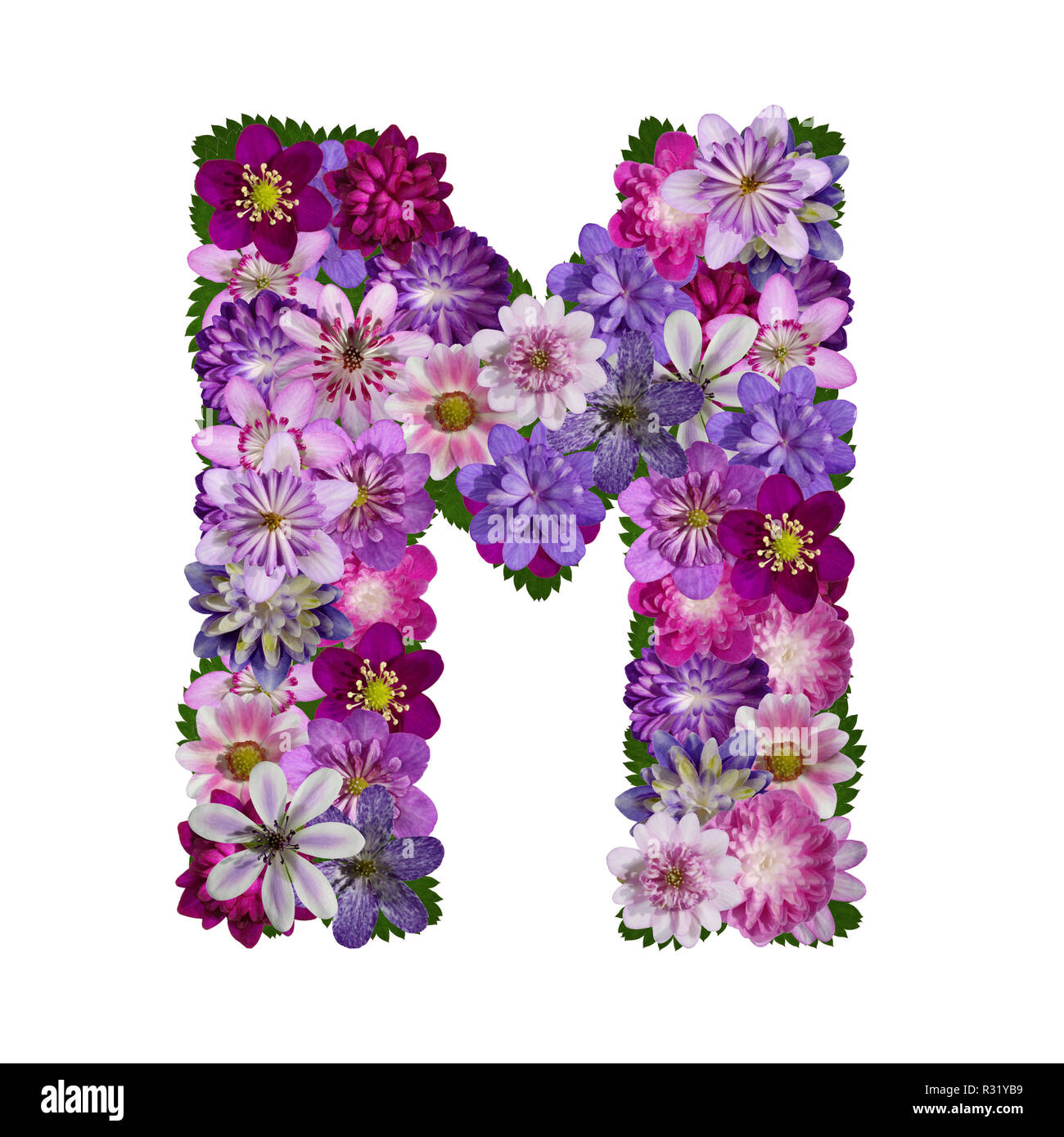 Blumen Buchstaben m Stockfotografie - Alamy