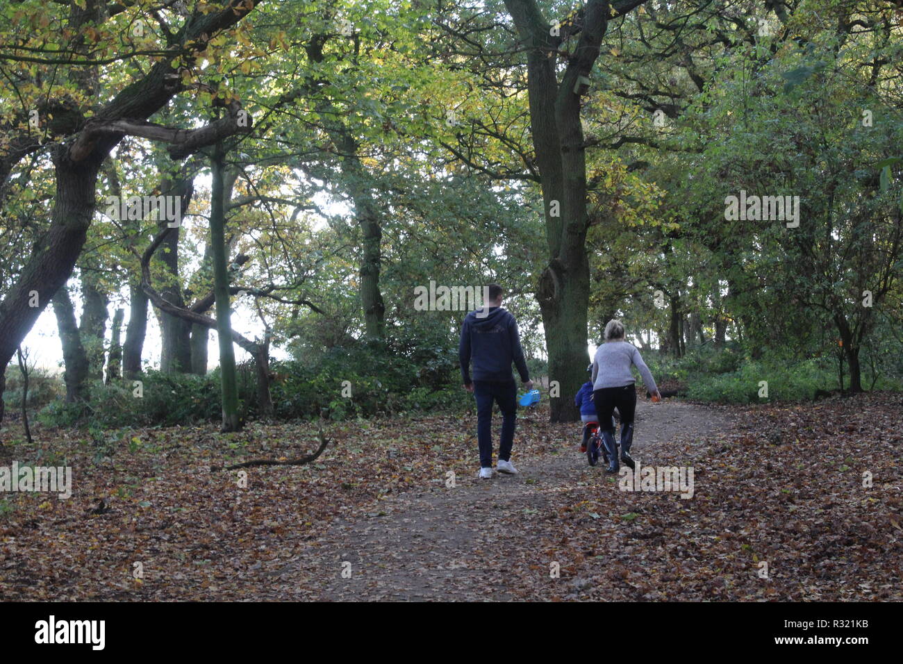 Familie genießen die Zeit zusammen im Wald an einem Herbsttag in einem britischen Wald Stockfoto