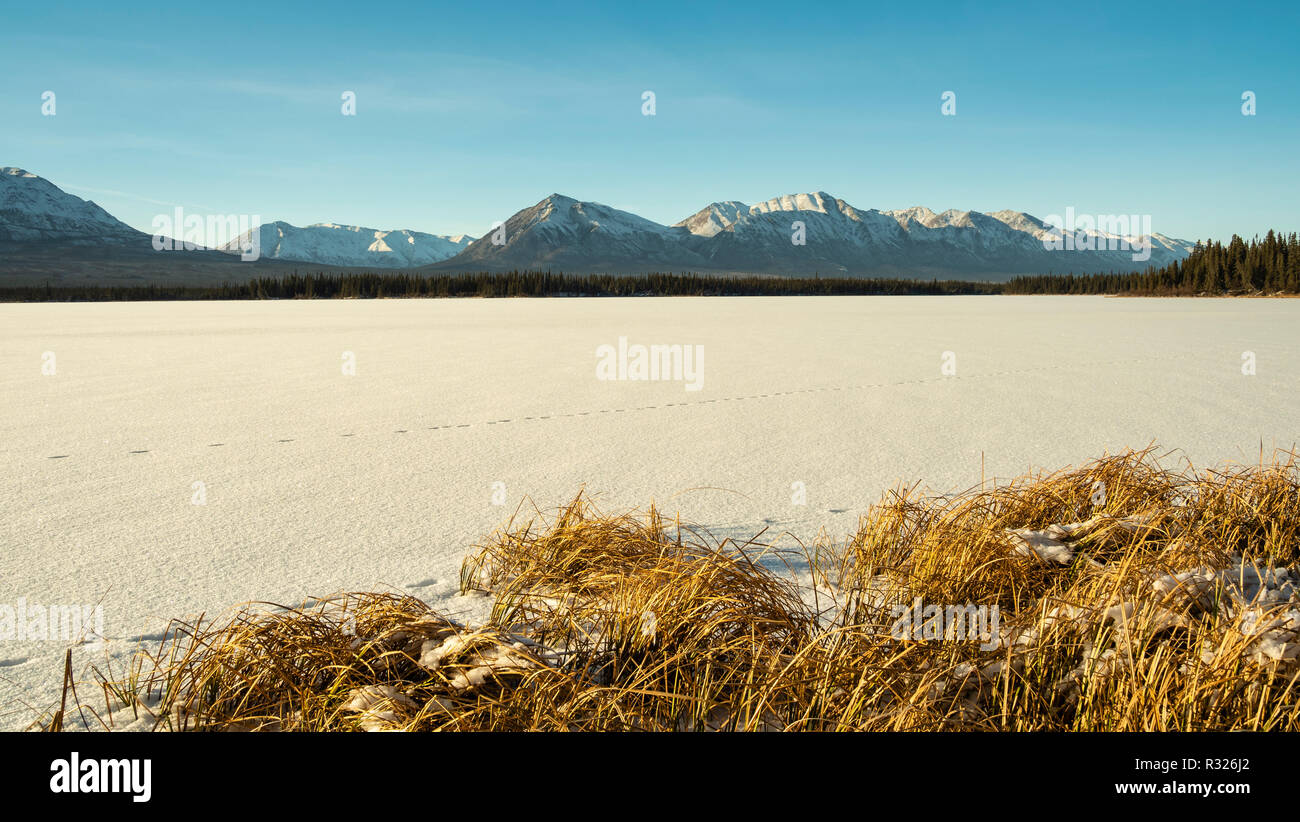 Malerischer Blick auf den See und die Berge entlang der Alaska Highway im Yukon Territory. Stockfoto