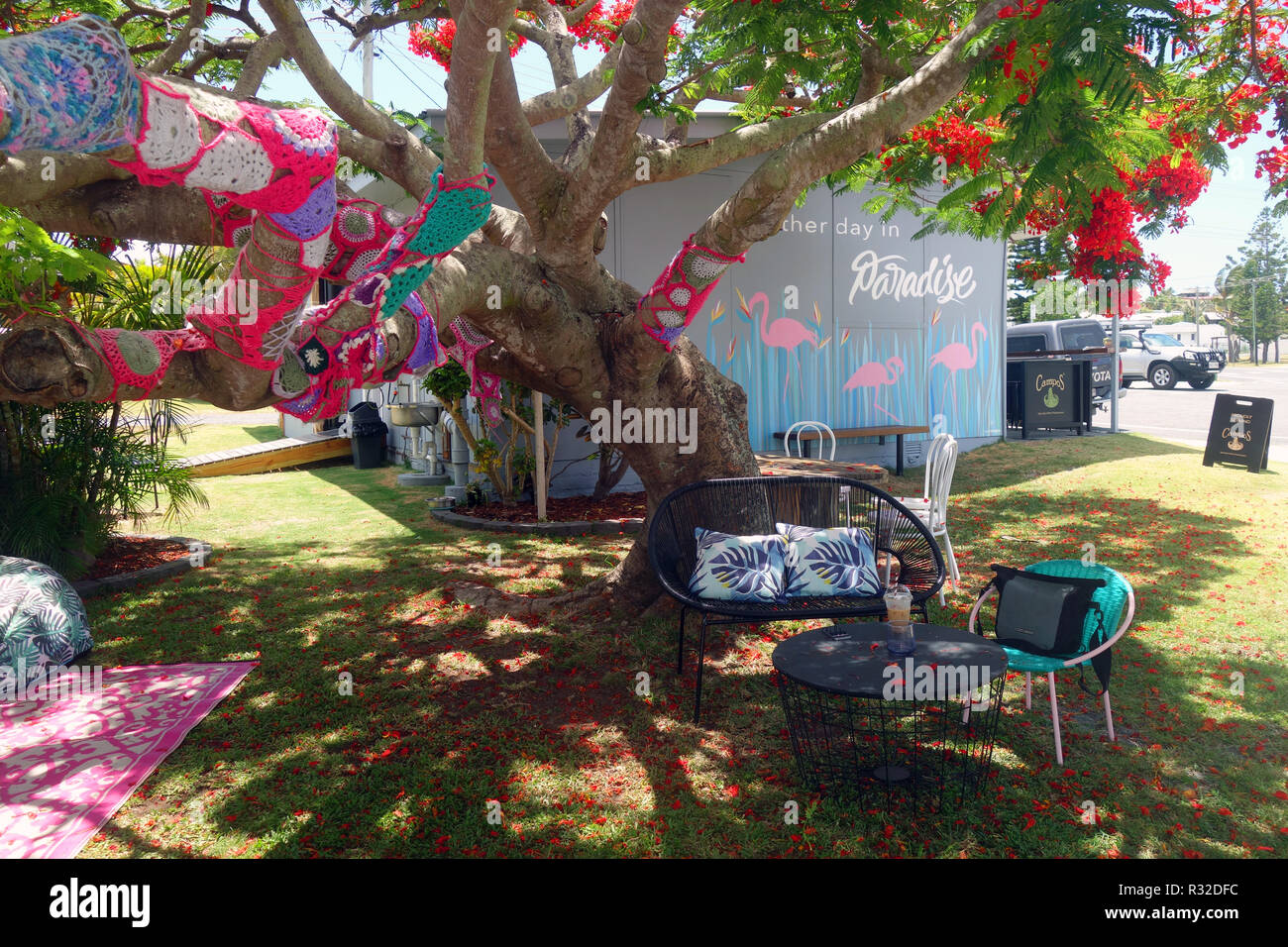 Garn - bombardiert Blüte Ponciana Baum mit Outdoor Stühle und Tische, zwei Schwestern Cafe, Cooee Bay, Yeppoon, Queensland, Australien. Keine MR oder PR Stockfoto