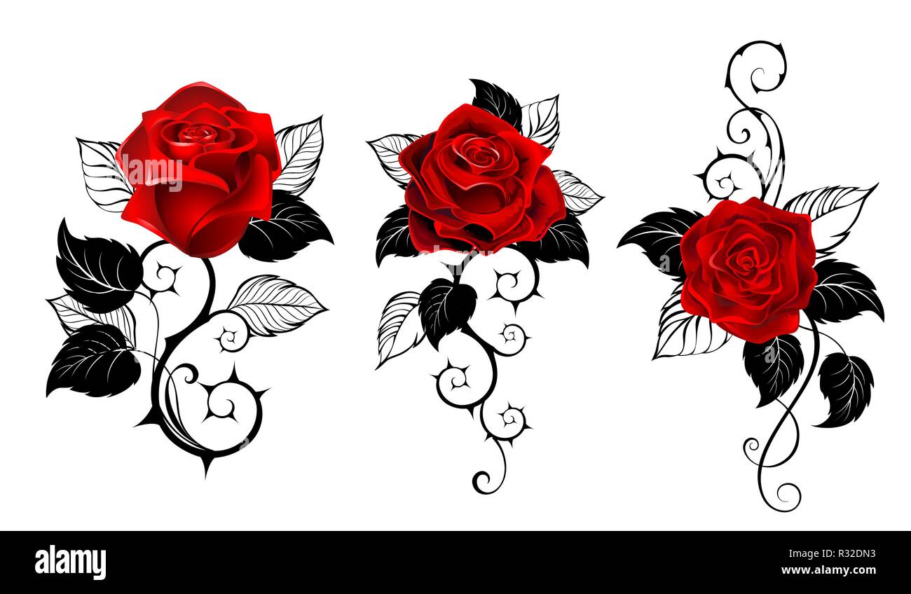 Drei kunstvoll bemalten rote Rosen mit schwarzen dornigen Stiele und Blätter schwarz auf weißem Hintergrund. Tattoo Stil. Stock Vektor