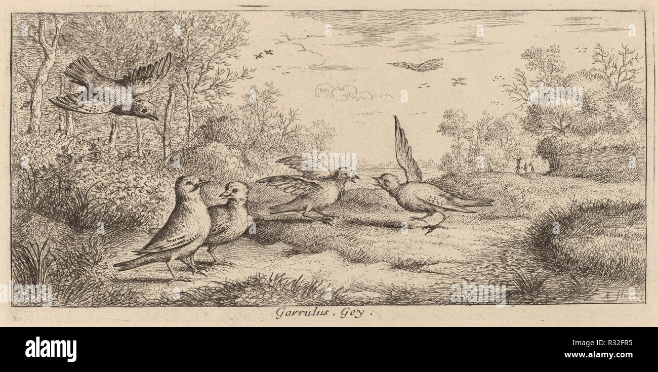 Der Eichelhäher Garrulus,. Medium: Radierung. Museum: Nationalgalerie, Washington DC. Autor: Albert Flamen. Stockfoto