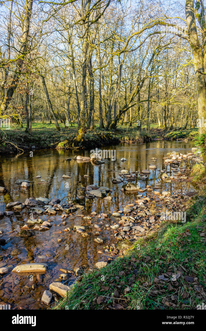 Der Fluss Afon Mellte im Fforest Fawr Geopark in die Brecon Beacons, Powys, Wales, Großbritannien Stockfoto