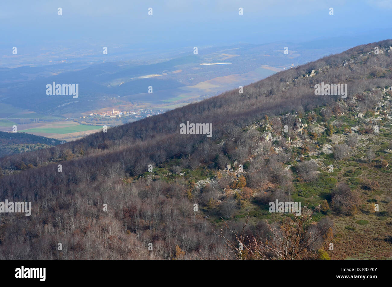 Buchenwälder in den nördlichen Abhang der Sierra de Toloño, eine karstige massiv in der Nähe von Labastida, Baskenland Stockfoto