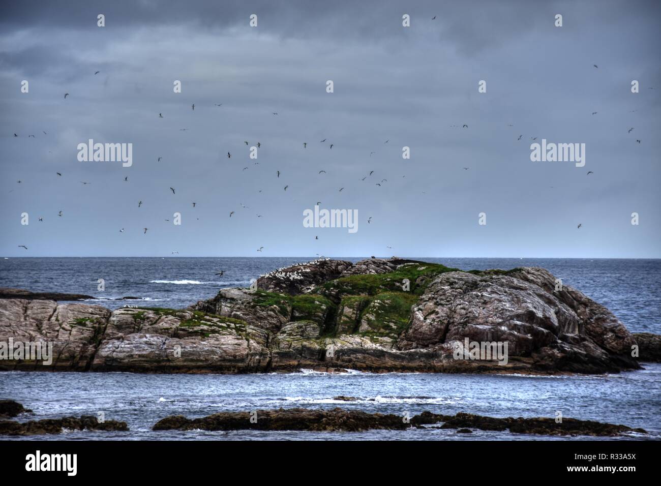 Norwegen, Nordland, Andenes, Andøya, Lofoten, Insel, Küste, Sommer, Straße, Landstraße, Gebirge, Fv 976, 976, Kleivodden, Bleik, Stadt, Leuchtturm, Stockfoto