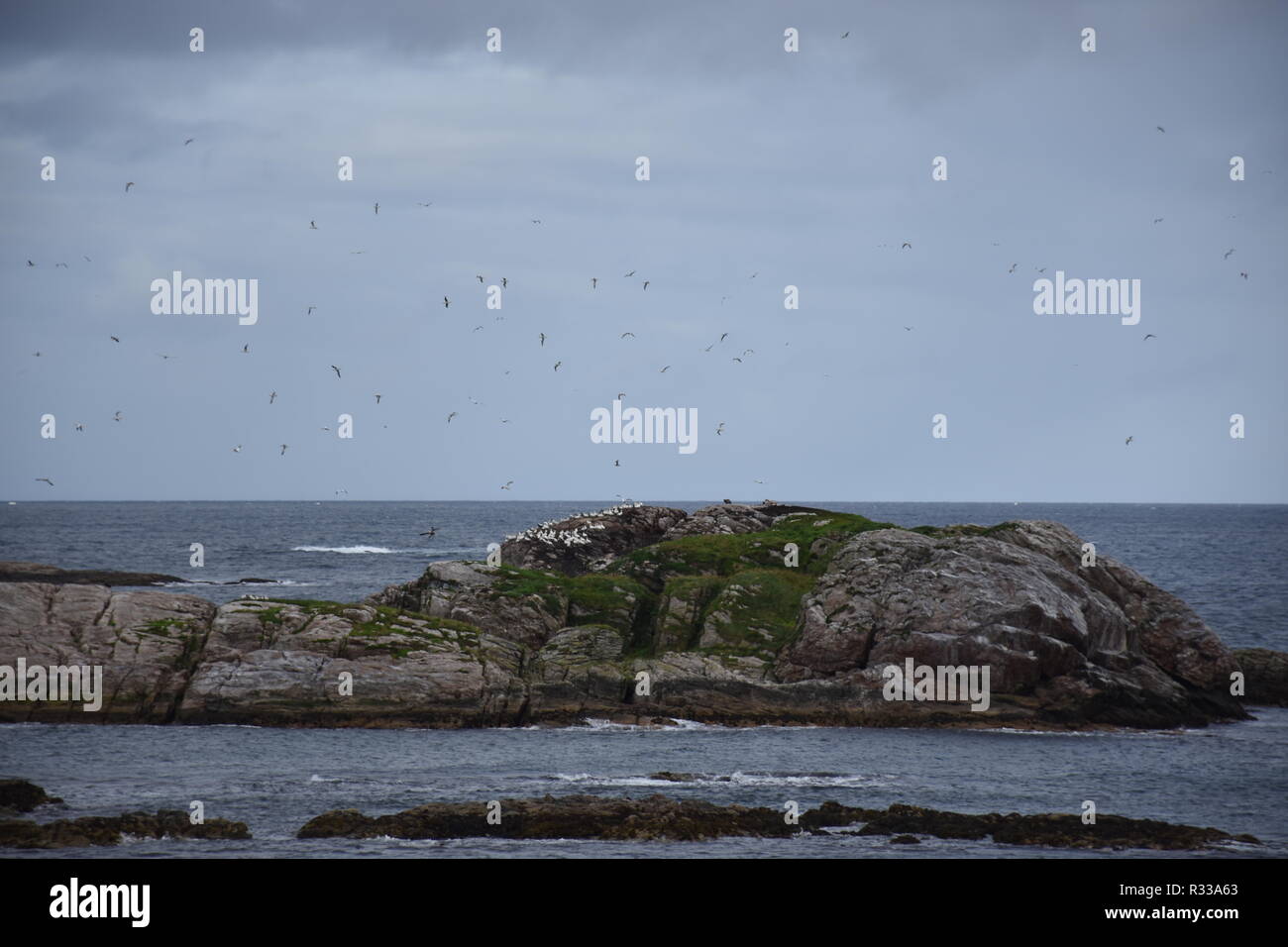 Norwegen, Nordland, Andenes, Andøya, Lofoten, Insel, Küste, Sommer, Straße, Landstraße, Gebirge, Fv 976, 976, Kleivodden, Bleik, Stadt, Leuchtturm, Stockfoto