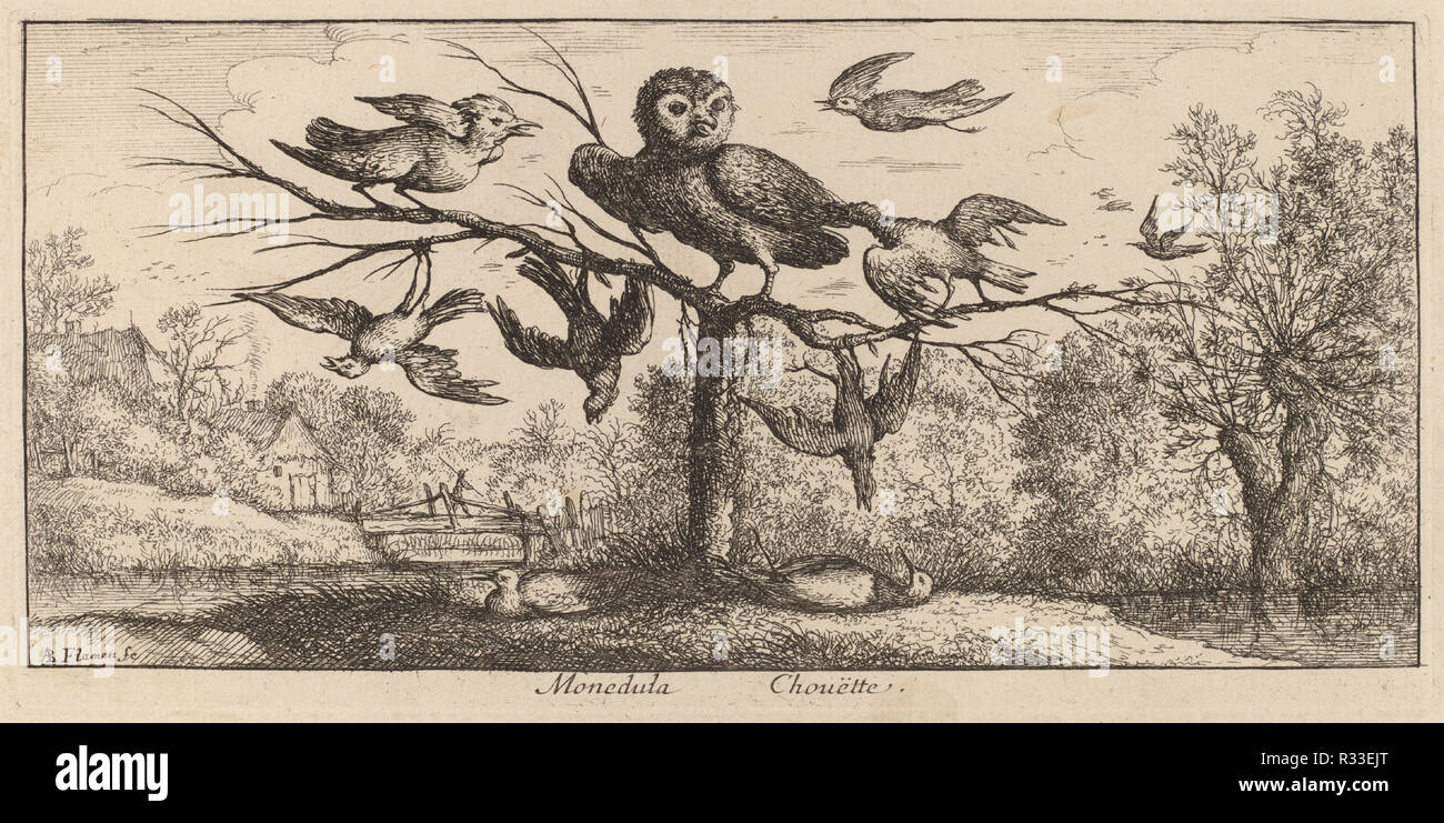 Monedula, die Eule. Medium: Radierung. Museum: Nationalgalerie, Washington DC. Autor: Albert Flamen. Stockfoto