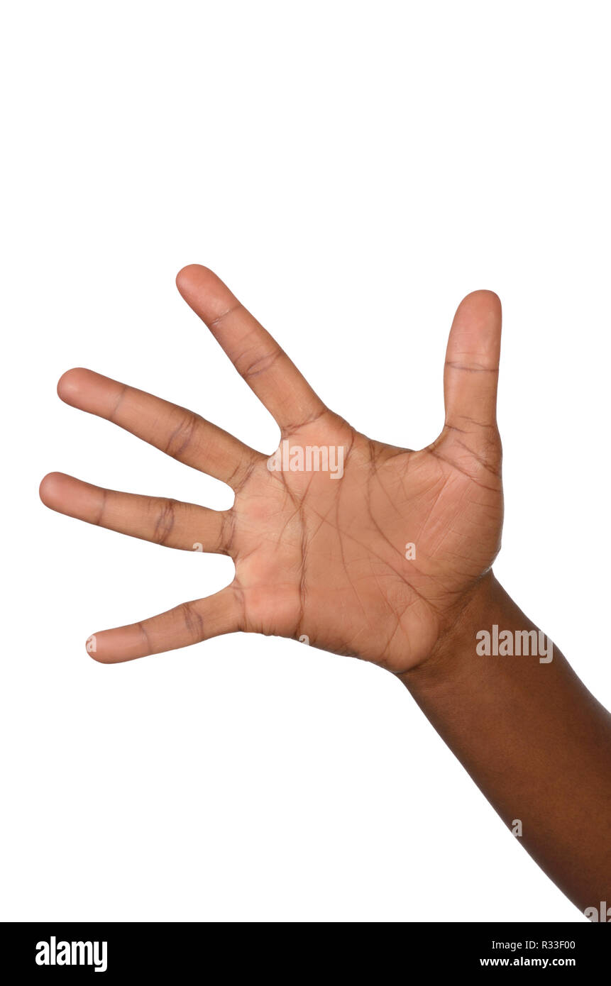 Hand mit fünf Fingern Stockfoto