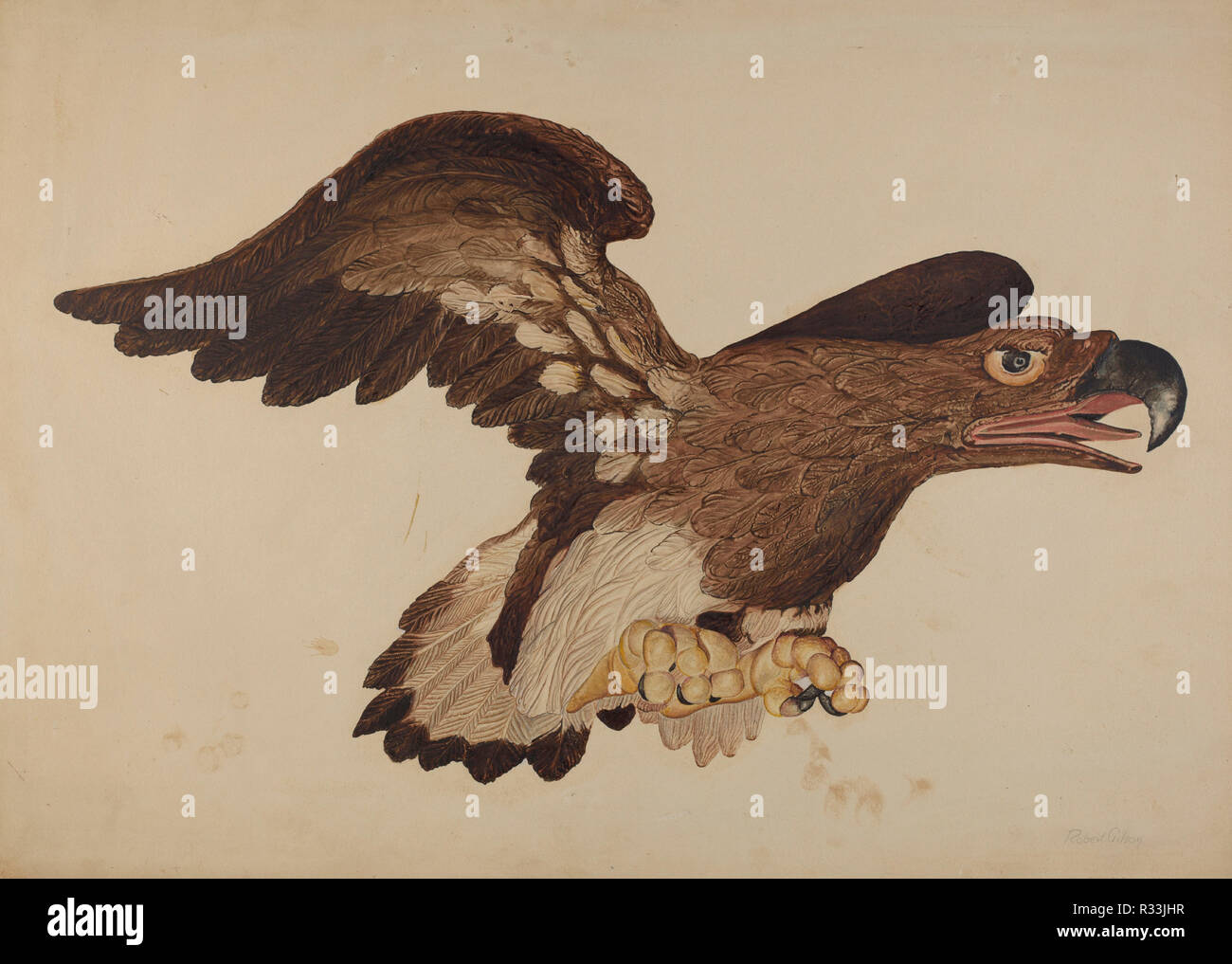 Adler geschnitzt aus Holz. Vom: C. 1939. Maße: gesamt: 40,6 x 56,2 cm (16 x 22 1/8 in.) Original IAD Objekt: 54' breit. Medium: Aquarell, Graphit und Feder und Tusche auf Karton. Museum: Nationalgalerie, Washington DC. Autor: Robert Gilson. Stockfoto