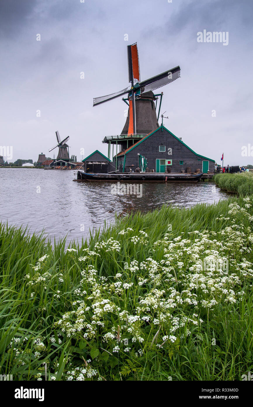 Holländische Windmühle in Zaanse, Niederlande, Europa Stockfoto