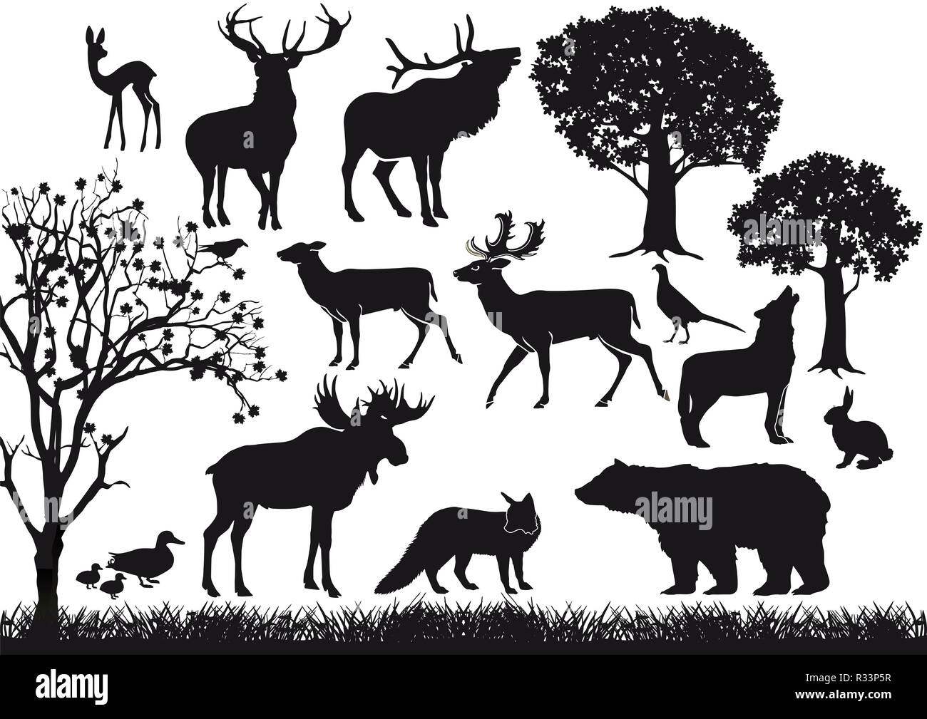 Wald und Tierwelt Stockfoto