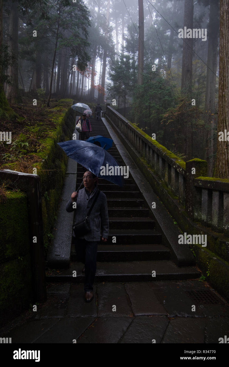 Menschen zu Fuß mit Sonnenschirmen im Regen und Nebel auf der Treppe, die zu Kanosugi am Toshogu in Nikko, Japan. Stockfoto