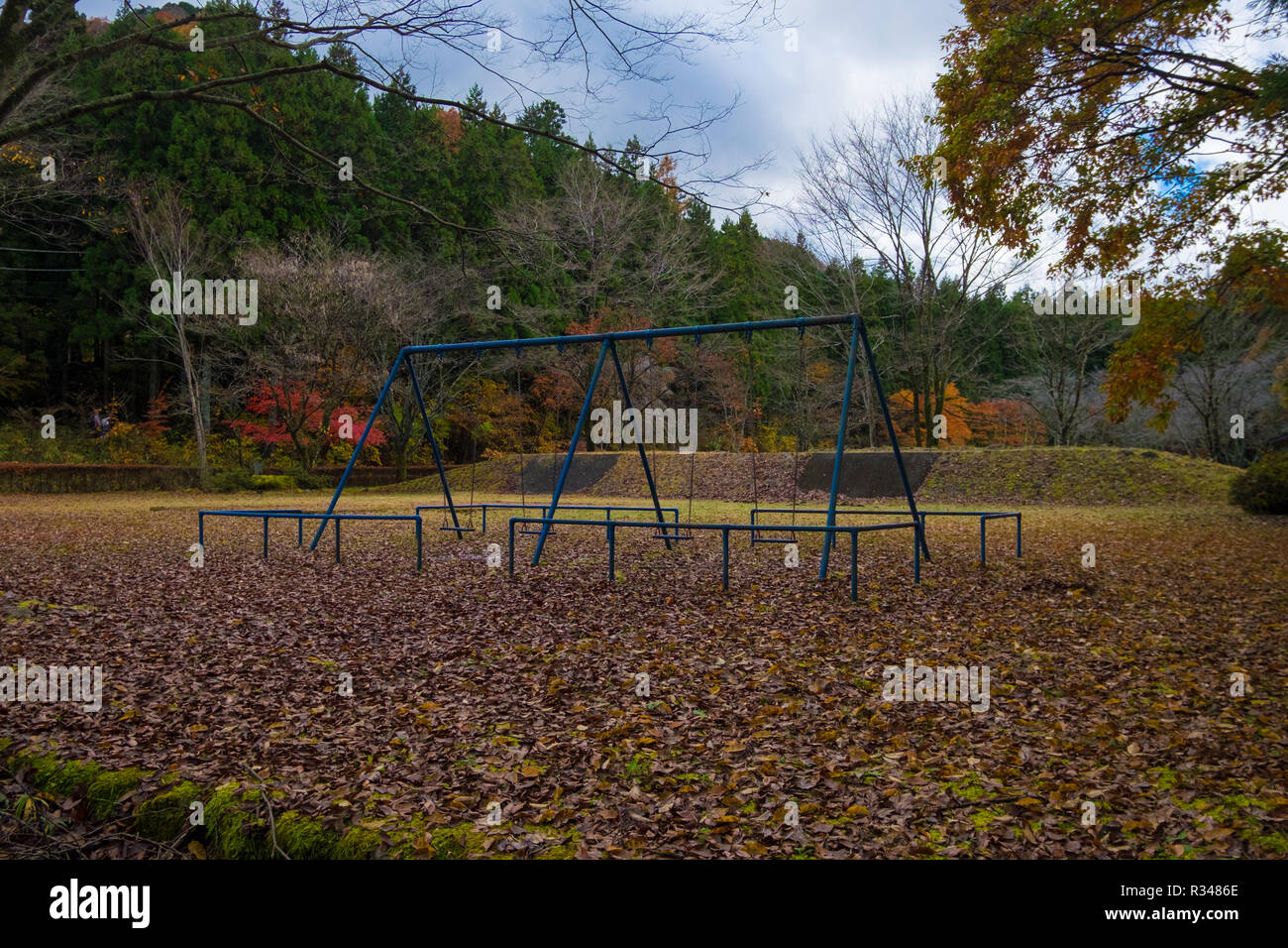 Eine blaue schwingen in einem japanischen Park in Nikko, Japan. Stockfoto