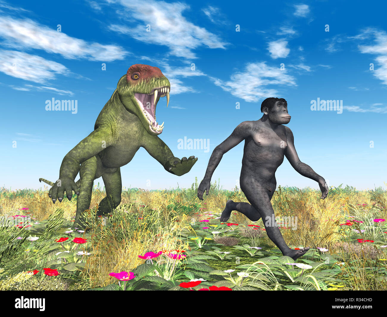 Homo habilis - die Evolution des Menschen Stockfoto