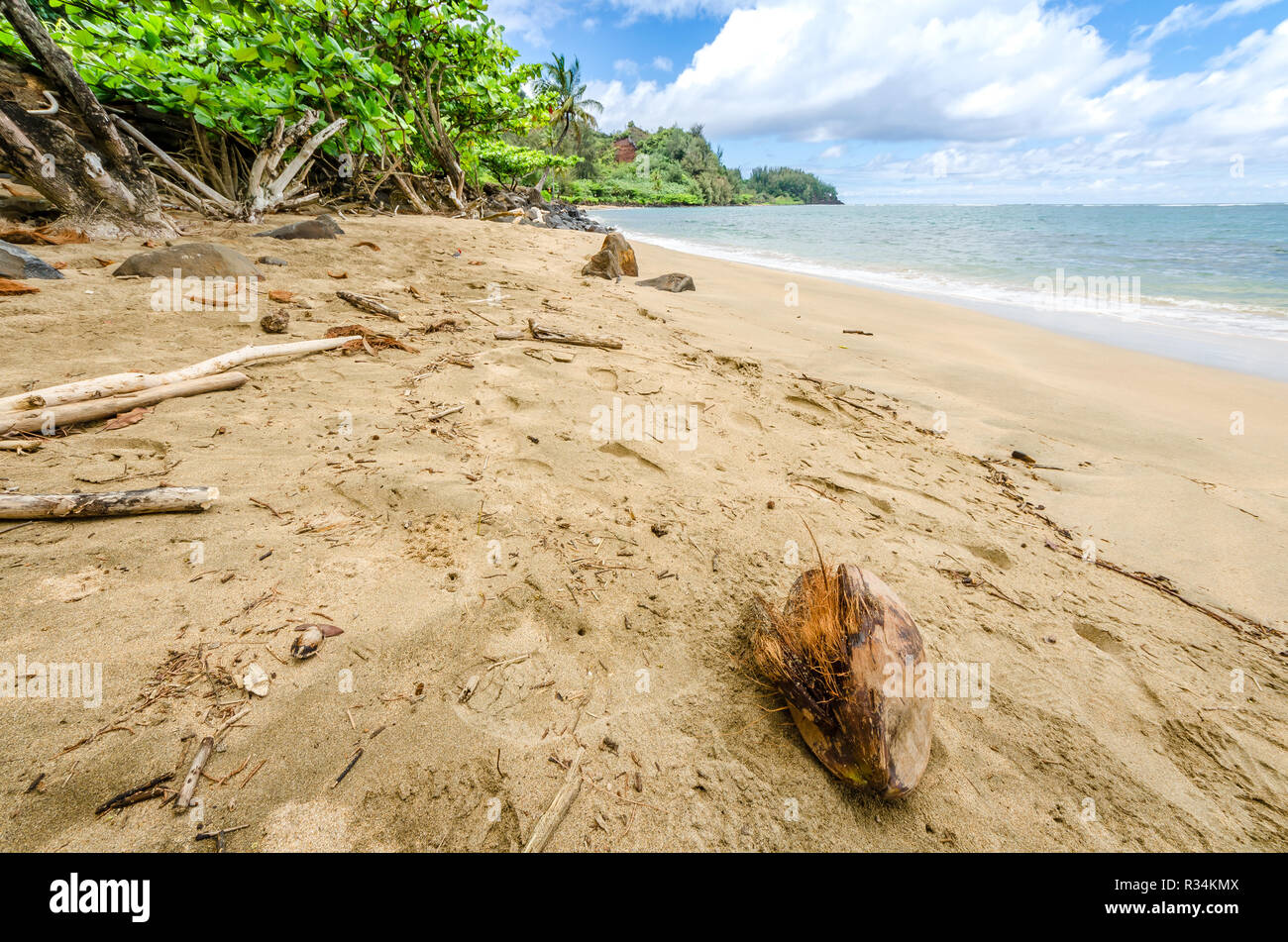 Kokosnuss Schale auf einem sandigen, sonnigen tropischen Strand Stockfoto