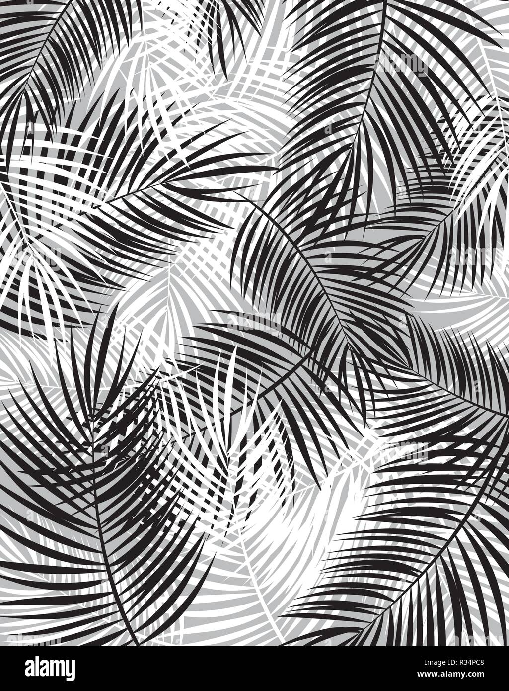 Schwarze und Weiße Palm Leaf Vektor Hintergrundbild Stock Vektor