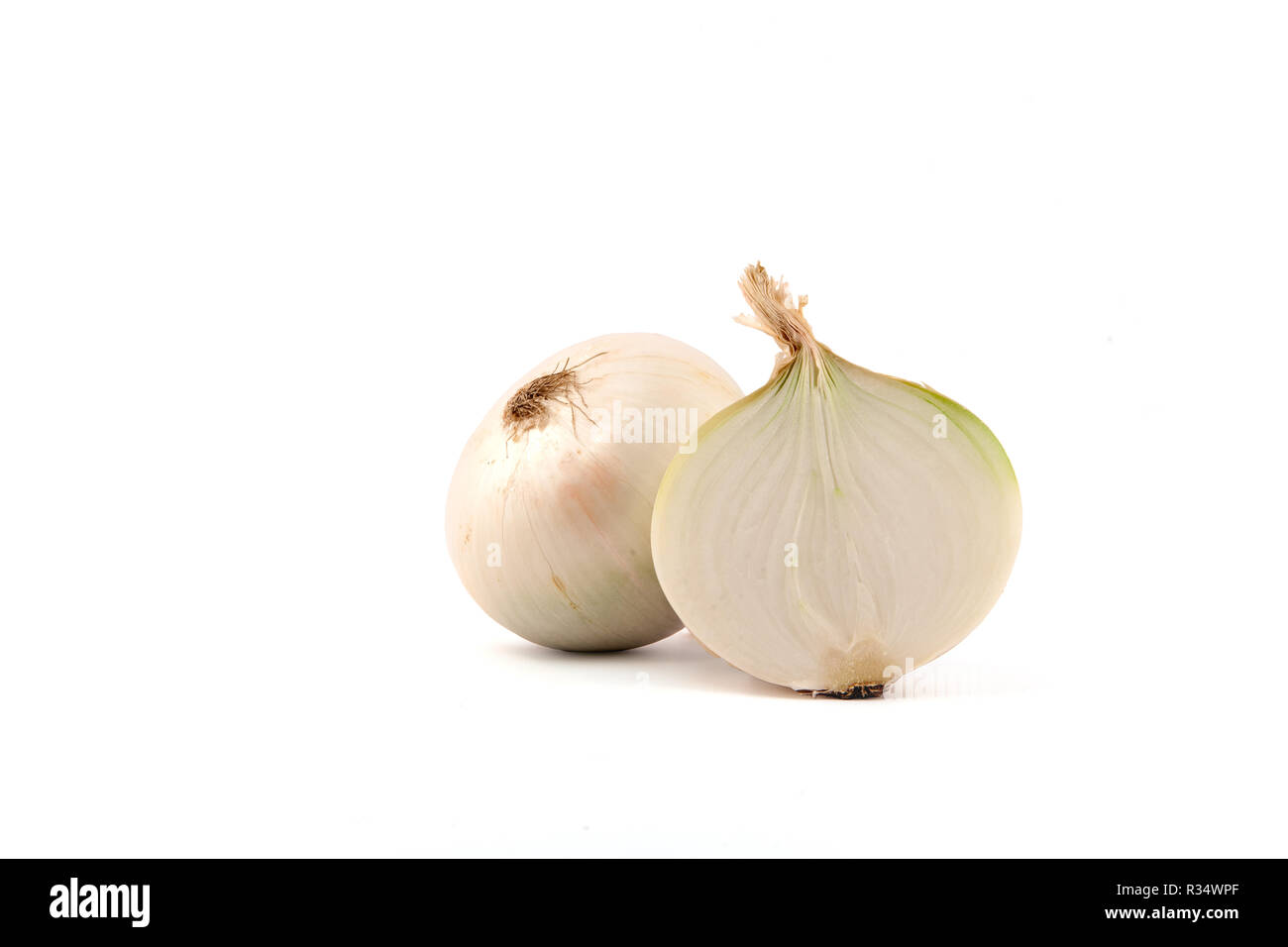 Weiße Zwiebel auf weißem Hintergrund Stockfoto
