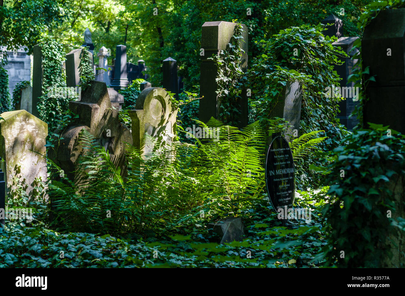 Details der Neuen Jüdischen Friedhof. Stockfoto