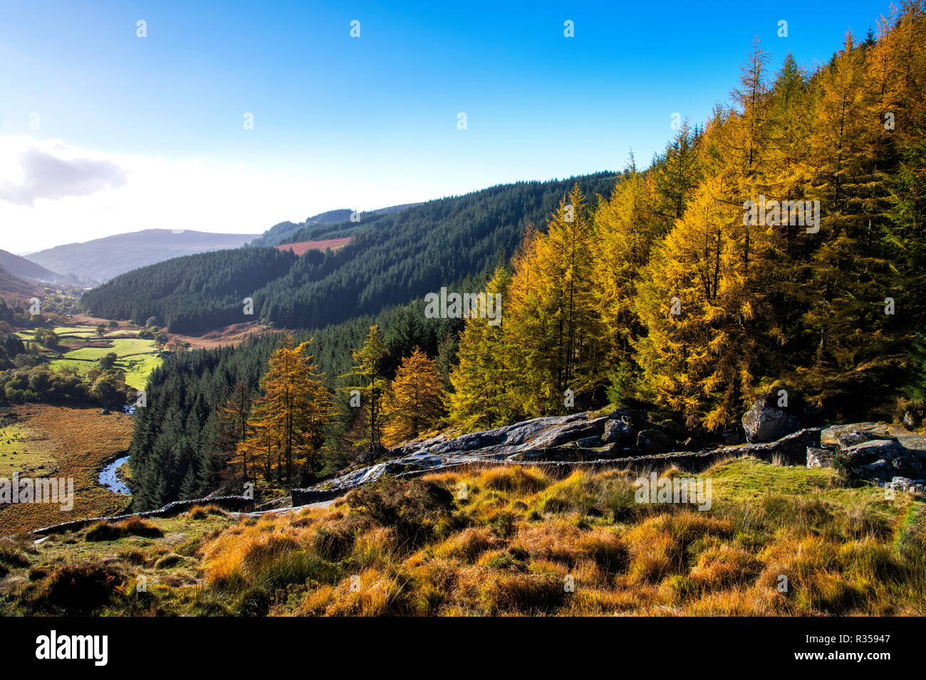 Herbst Blick auf Glenmacnass Wasserfall Stockfoto