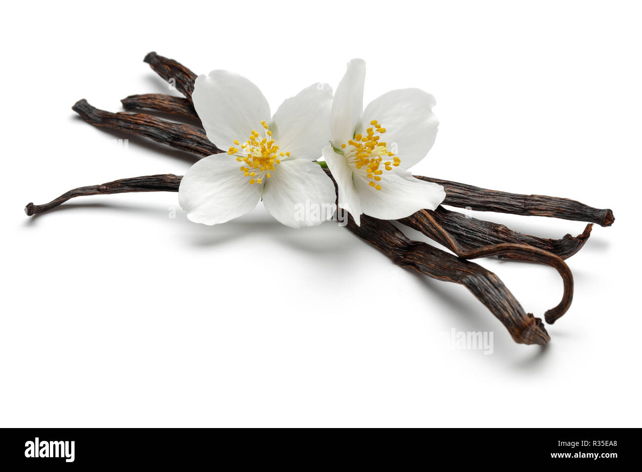 Vanille Sticks mit Jasminblüten Stockfoto