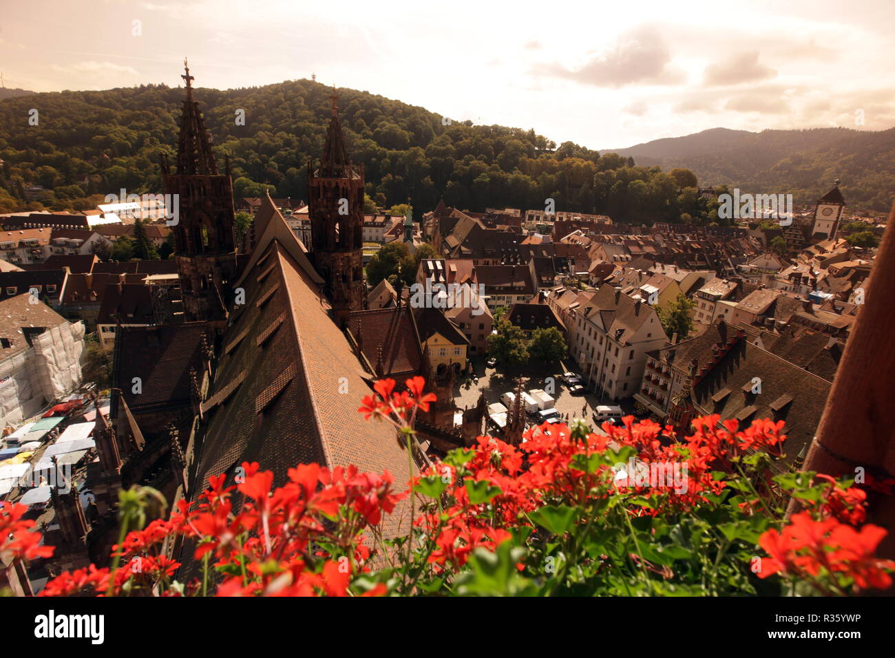 Europa Deutschland Schwarzwald Stockfoto