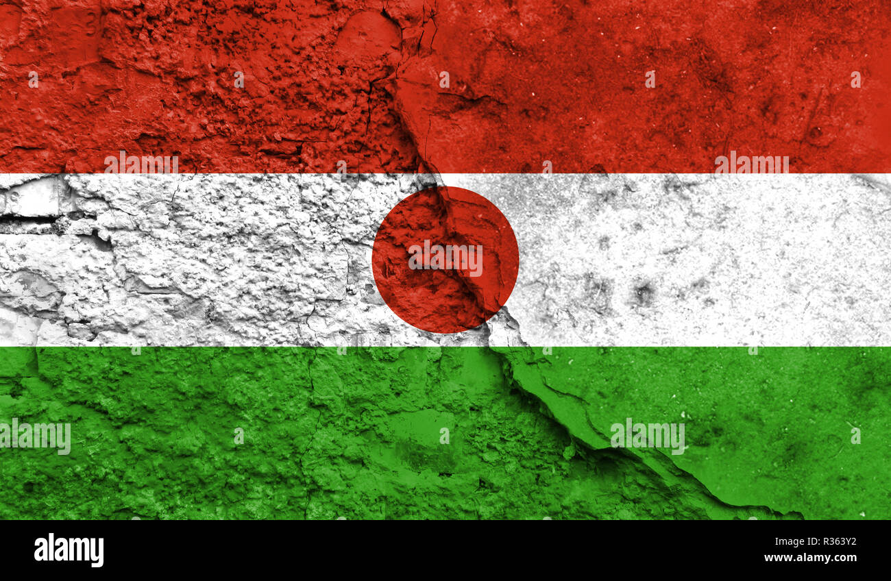 Flagge Niger schließen bis auf einen Riss in der Wand, Konzept der bewaffneten Aktionen und Konflikte in der Welt lackiert Stockfoto