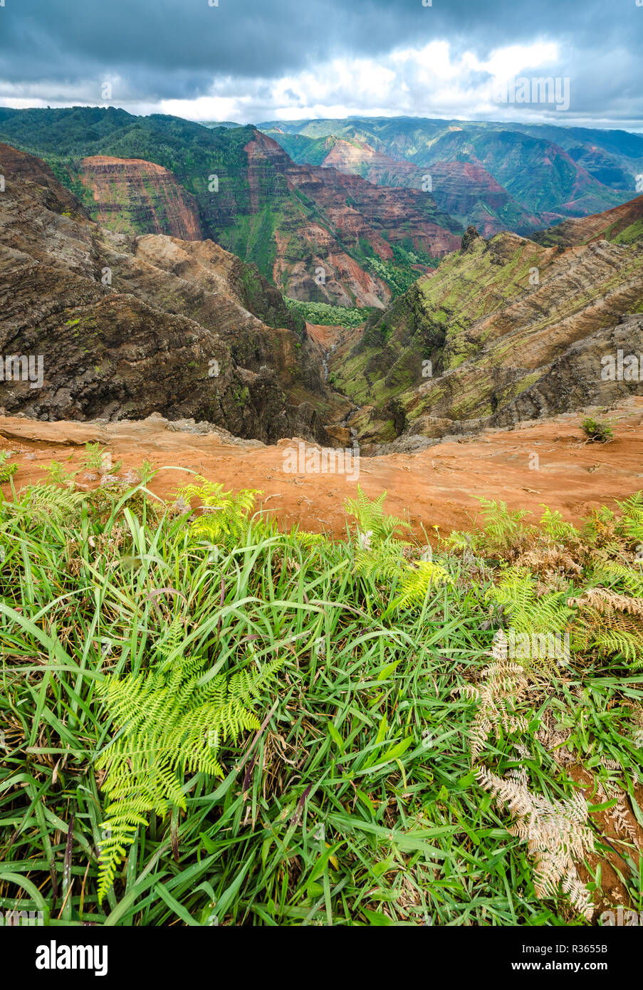 Ein Blick in den Waimea Canyon auf der Insel Kauai, Hawaii Stockfoto