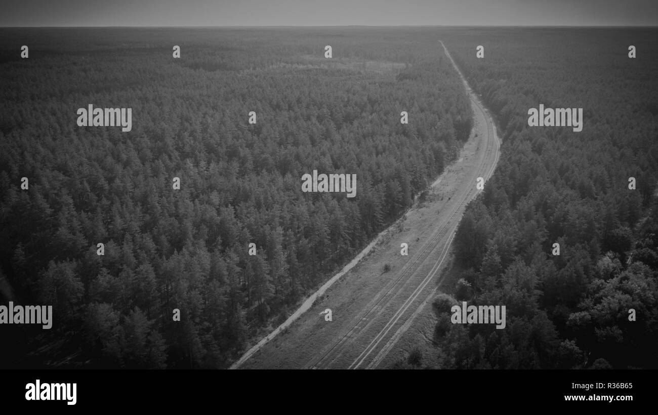 Monochrome drone Fotografie von Eisenbahnunternehmen in einem Wald. Stockfoto