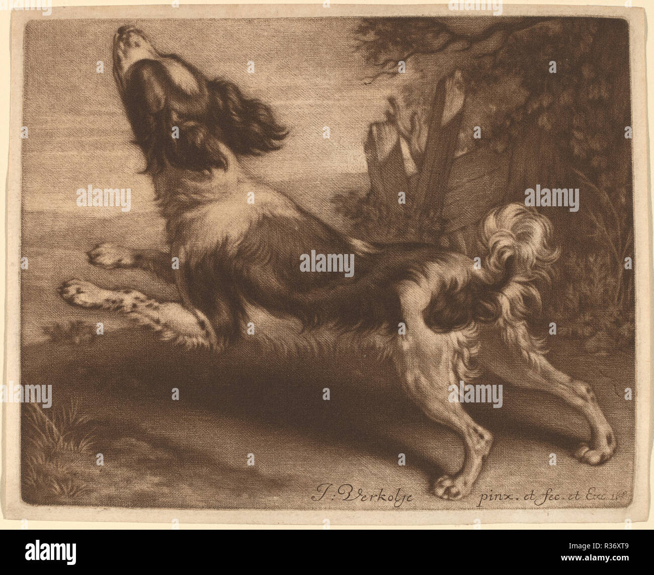 Ein Spaniel springen. Stand: 1680. Abmessungen: Platte: 12,3 x 15,4 cm (4 13/16 x 6 1/16 in.) Blatt: 13 x 16 cm (5 1/8 x 6 5/16 in.). Medium: mezzotint auf Bütten. Museum: Nationalgalerie, Washington DC. Autor: Jan Verkolje I. Stockfoto