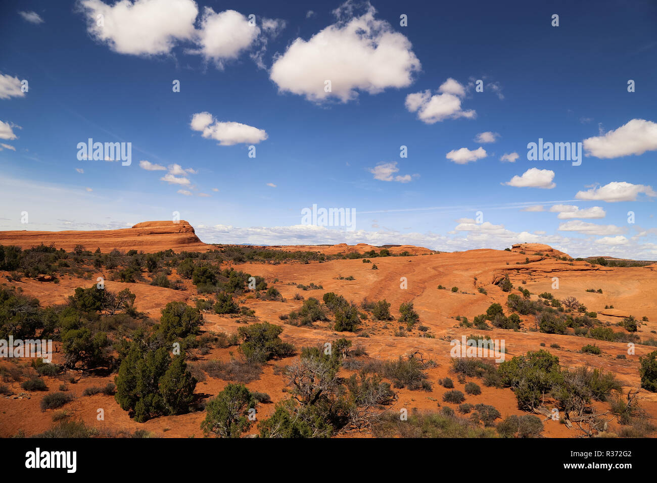 Blauer Himmel und weiße Wolken über Arches Nationalpark in der Wüste von Utah Stockfoto