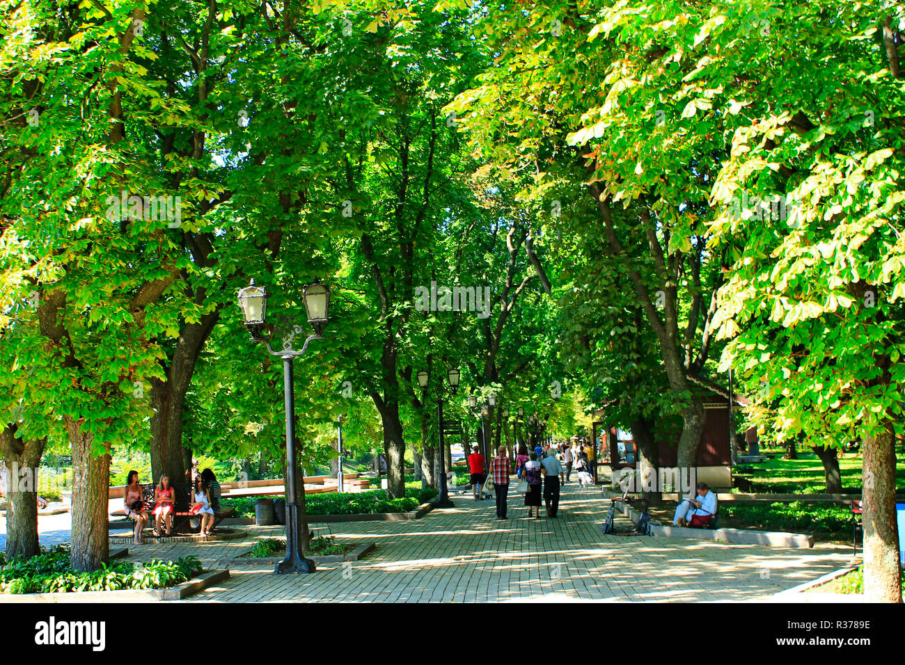 Die Leute, die ein Rest im City Park mit grossen Bäumen. City Park. Wandern entlang der wunderschönen Stadtpark. Paar Urlaub. Sommerferien. Urlaub mit der ganzen Familie. Tra Stockfoto