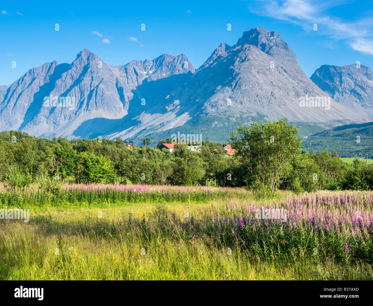 Bauernhof Häuser südlich von svensby am Kjosenfjord, Aussicht über den Fluss, steilen Berggipfeln der Halbinsel Lyngen, Norwegen Stockfoto