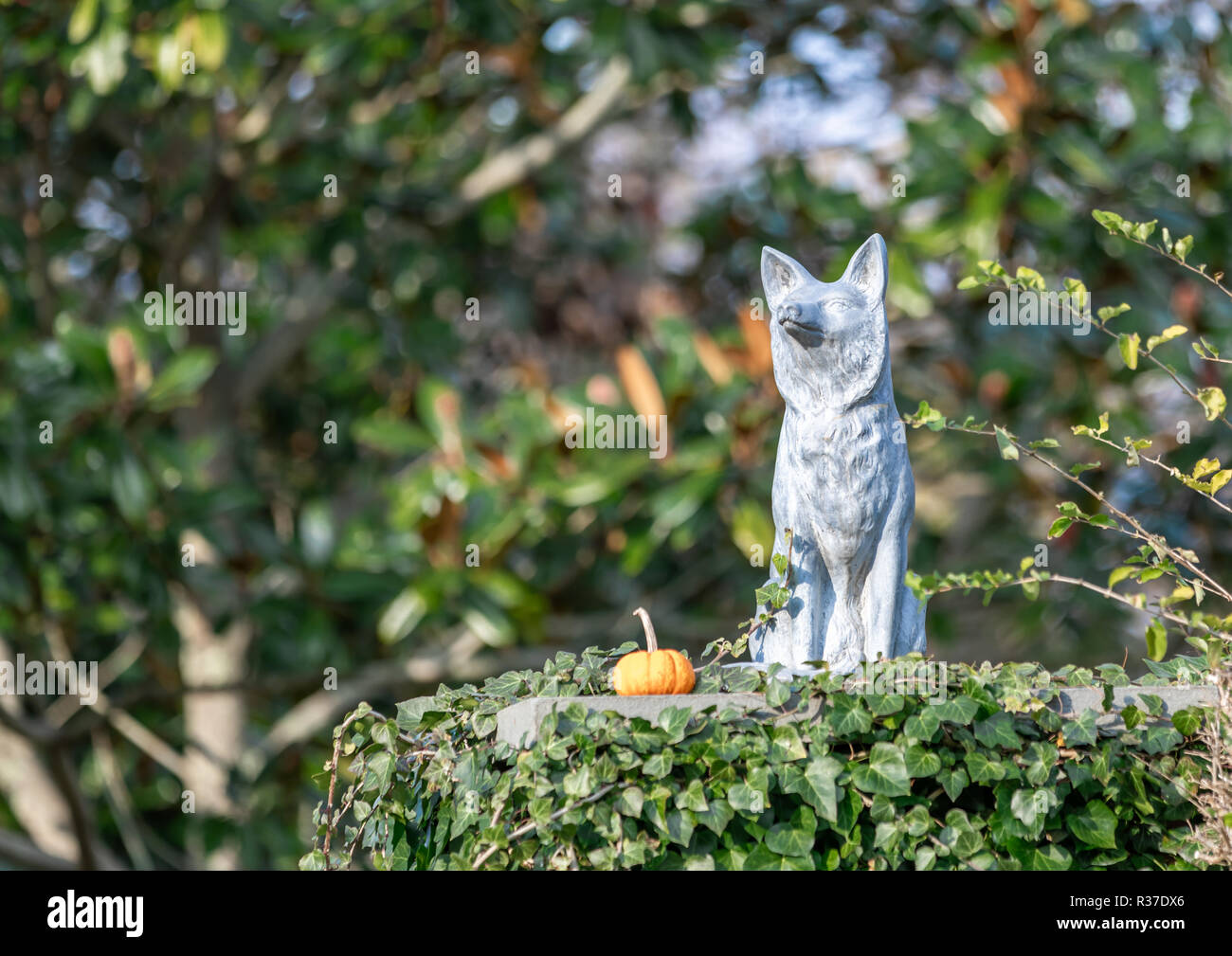 Hund Skulptur mit kleiner Kürbis auf einem Efeu bedeckt Spalte in Southampton, NY Stockfoto