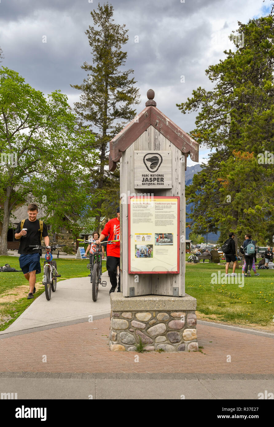 JASPER, AB, Kanada - Juni 2018: Holz- Aushang mit Informationen über den Nationalpark im Zentrum von Jasper, Alberta. Stockfoto