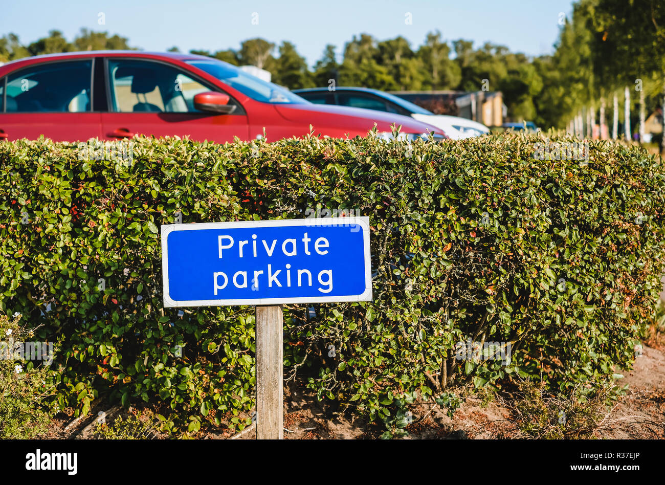 Blauer Schild PRIVAT PARKPLATZ am Eingang zum Parkplatz Stockfoto