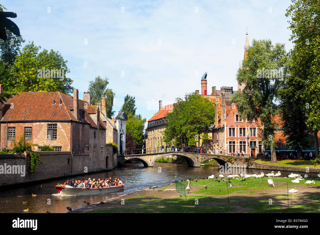 Kanal und die Schwäne in der Nähe: Begijnhof - Brügge, Belgien Stockfoto