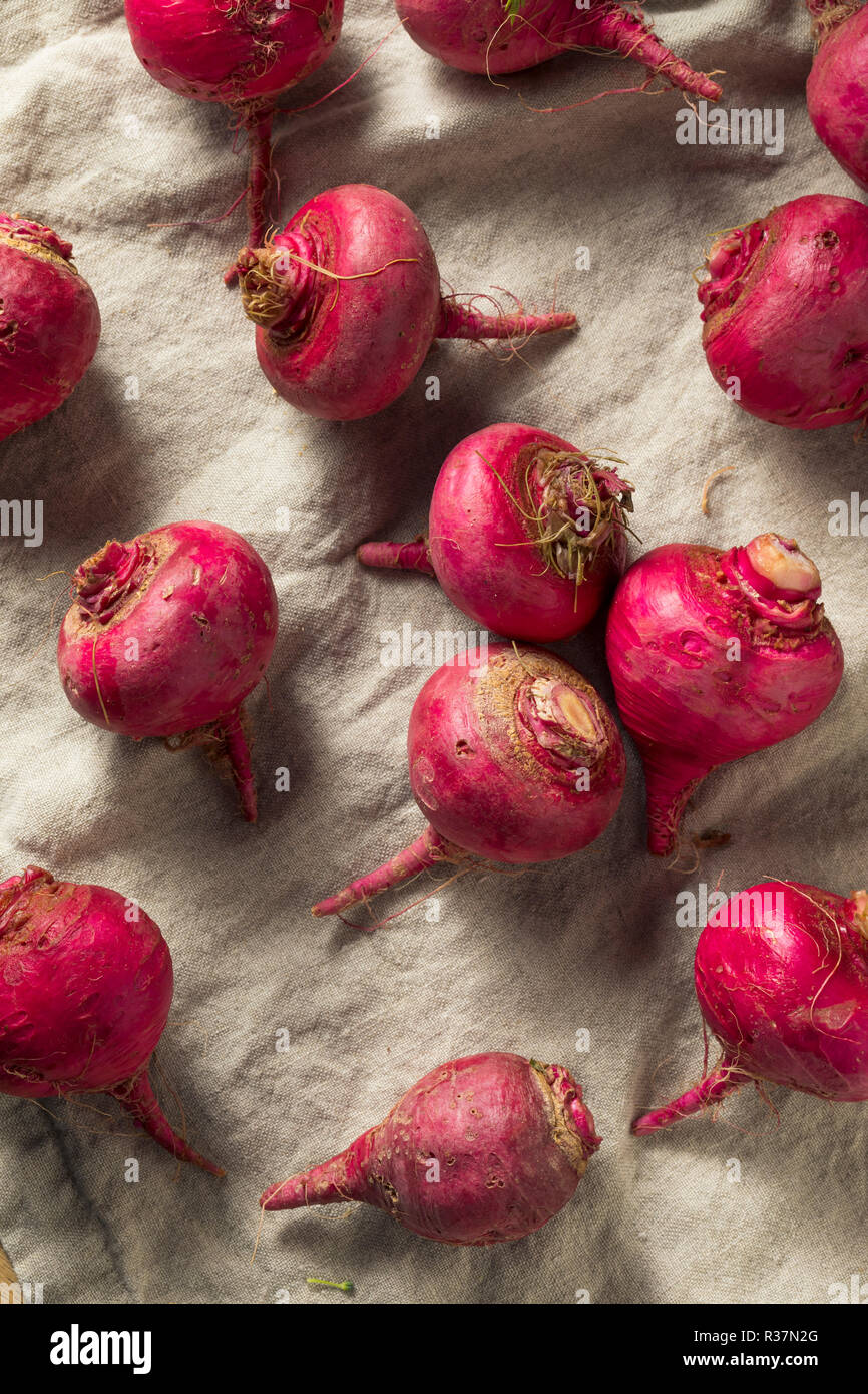 Rosa und Rote Rüben Wurzeln bereit zu Kochen Stockfoto