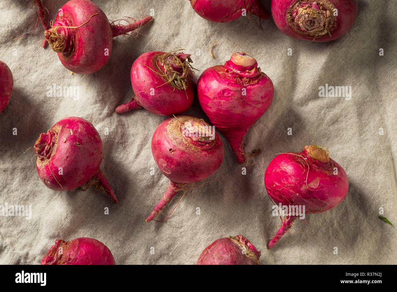 Rosa und Rote Rüben Wurzeln bereit zu Kochen Stockfoto