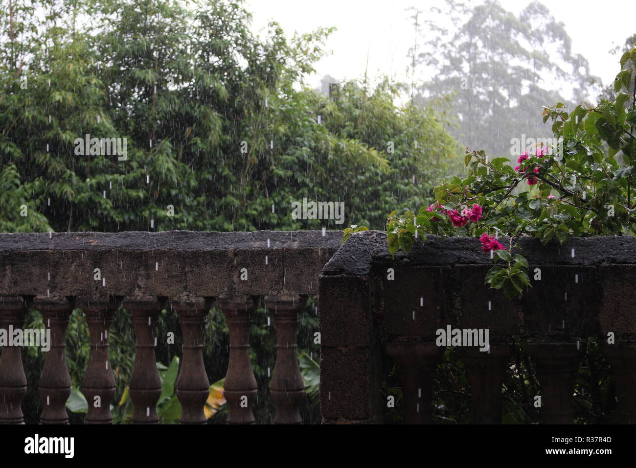 Regnerische Veranda Stockfoto