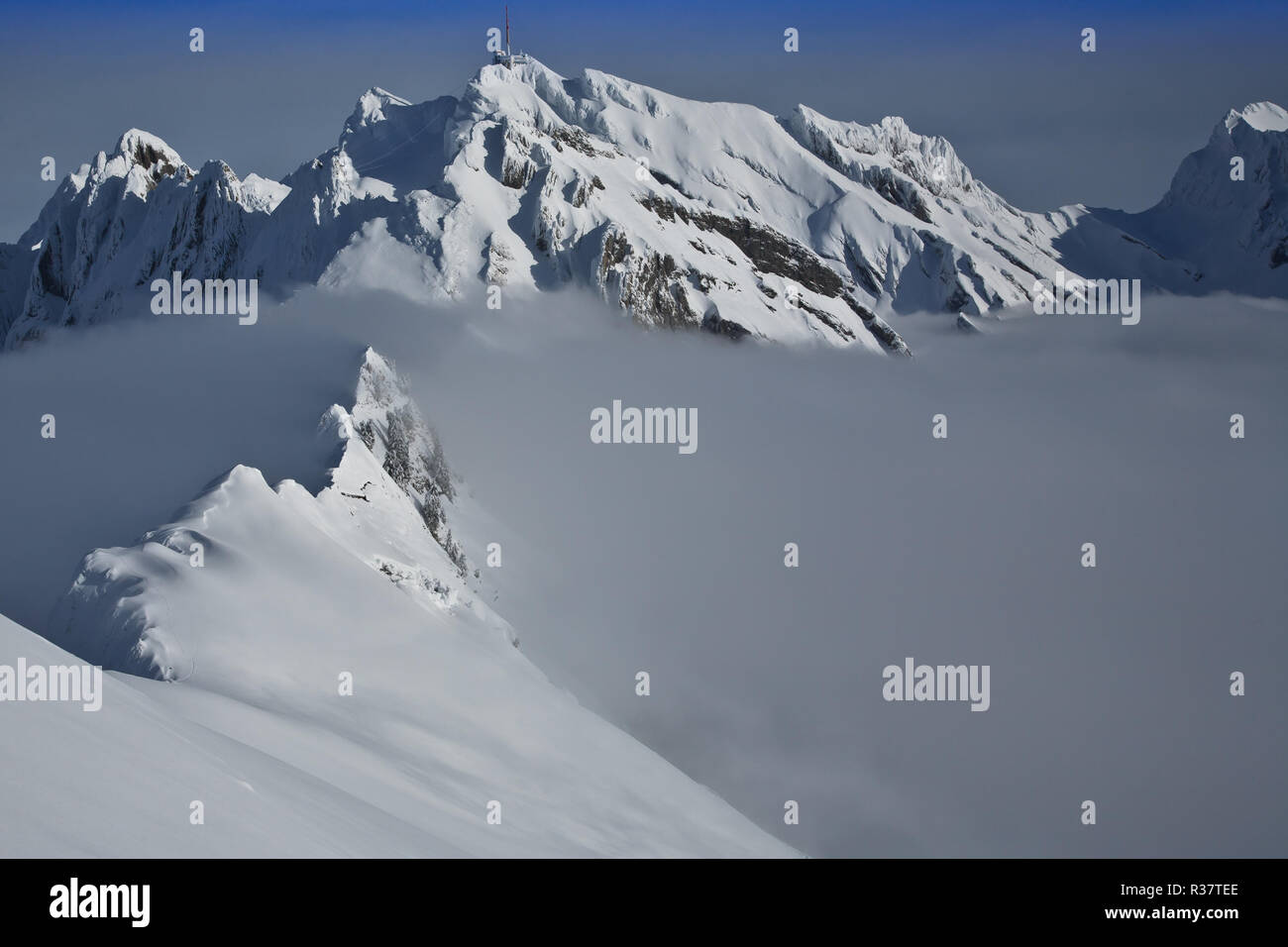 Die schneebedeckten Gipfel über hohe Nebel, Winterlandschaft, Säntis, Appenzell Alpen, im Kanton St. Gallen, Schweiz Stockfoto