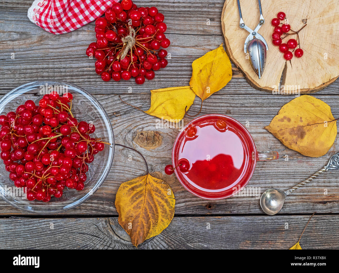 Tee aus frischen Beeren der viburnum in einem durchsichtigen Glas Schale, frischen roten Beeren auf einem grauen Holz- Tabelle, Ansicht von oben, Prävention und Behandlung von Erkältungskrankheiten Stockfoto