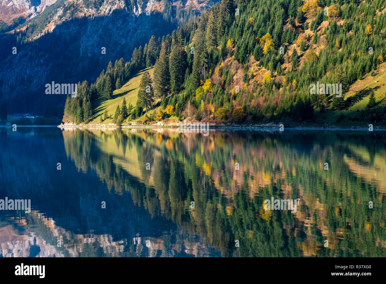 See Vilsalpsee, Herbstfärbung, Allgäuer Alpen, Tannheimer Tal, Tirol, Österreich Stockfoto