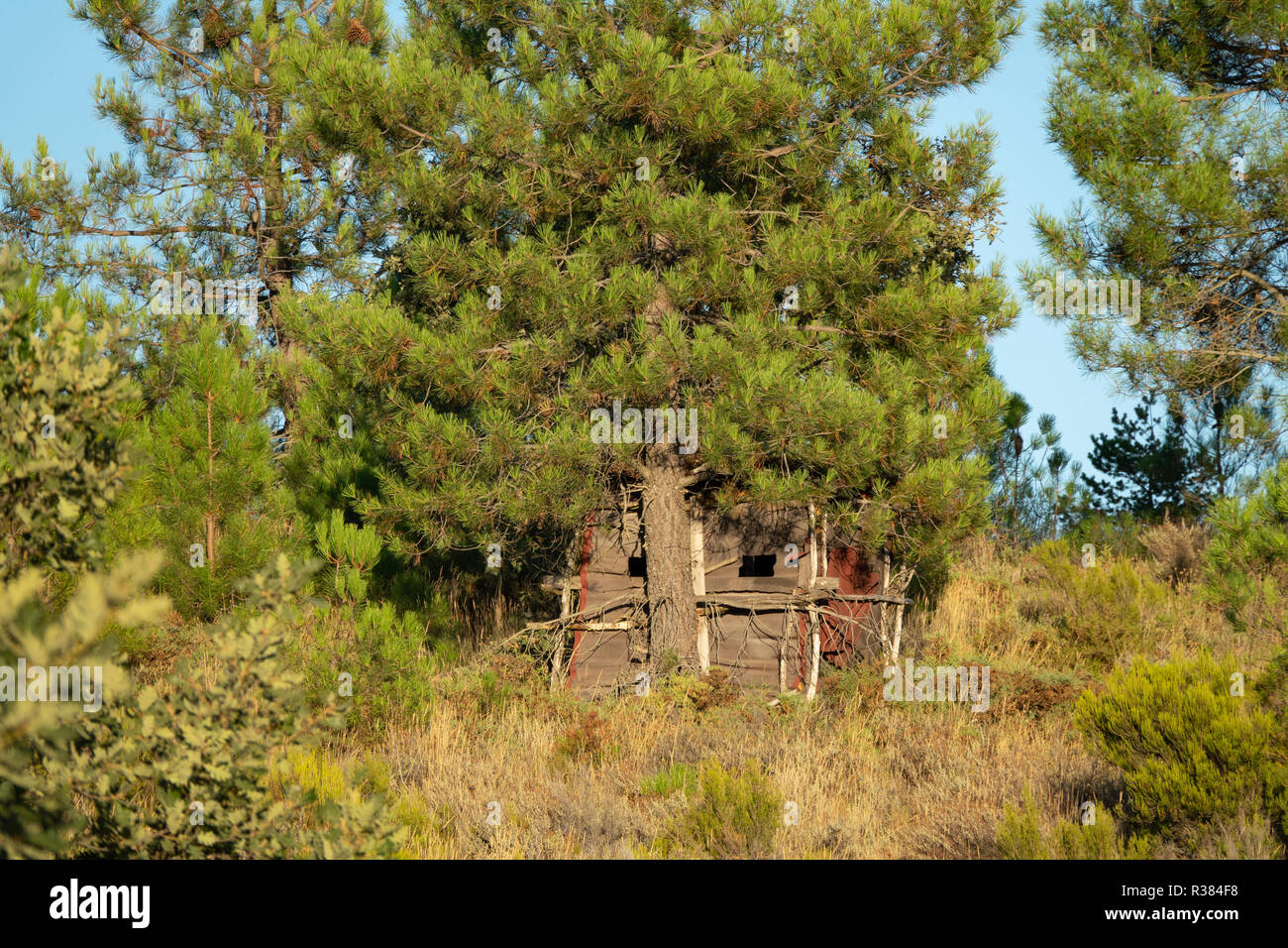 Versteckte Hütte für die Großwildjagd, Camouflage Stockfoto