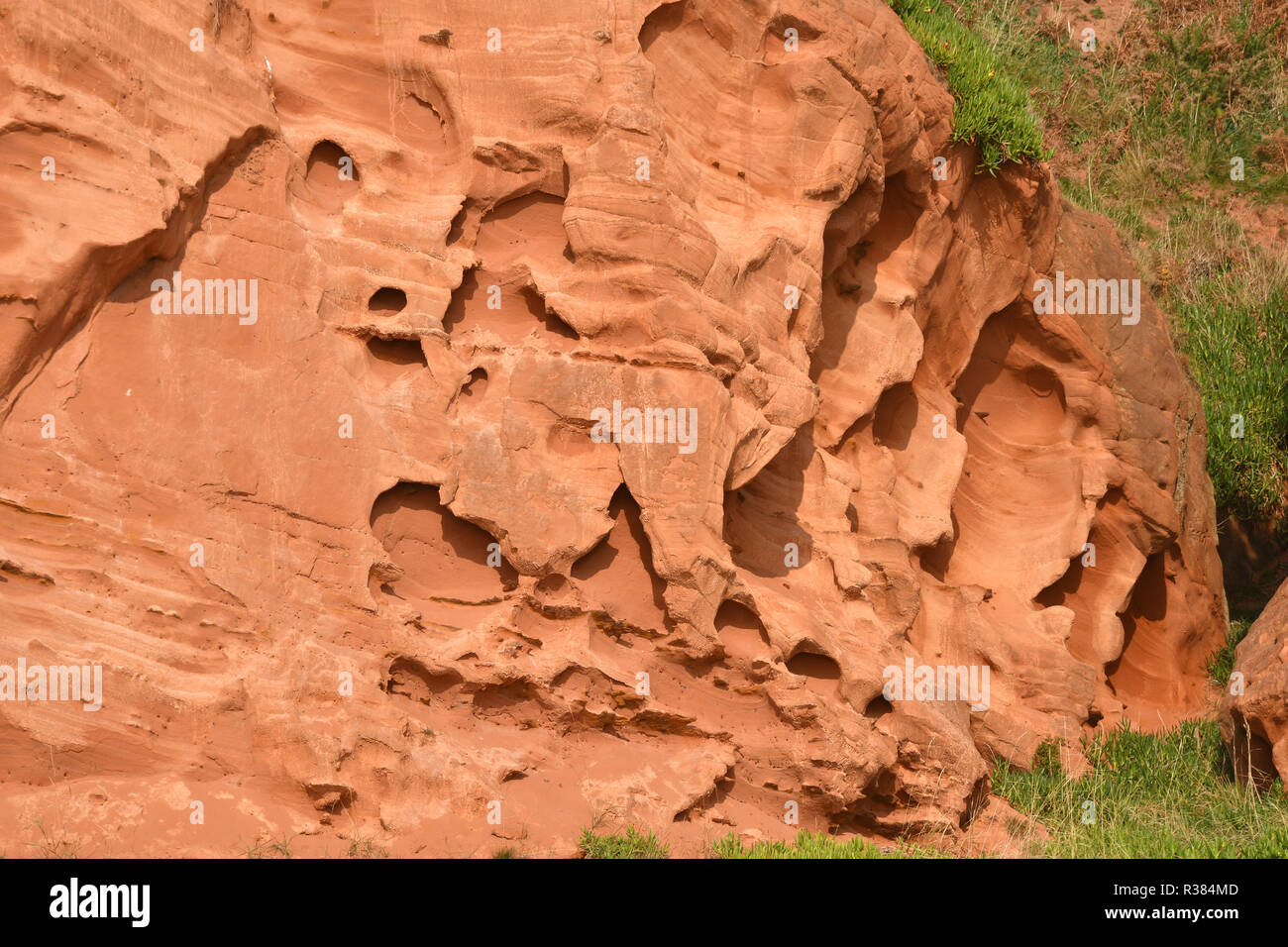 Wind und Regen Felsen erodiert, Devon neuen roten Sandsteinfelsen, nr Dawlish Devon Stockfoto